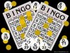 bingo100x75